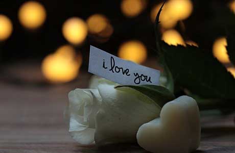 amore 2 per web