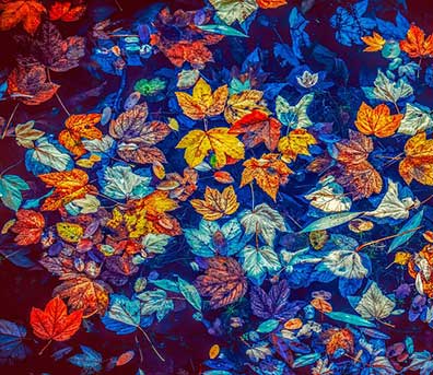 colori per web