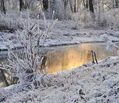 inverno 2 per web