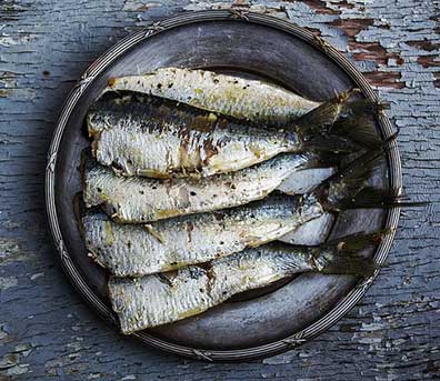 sardine per web